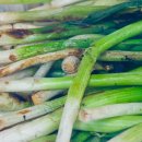 "마늘은 비교도 안 된다… 혈관 노화 막는다는 '이 식재료'의 정체" 이미지