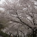 동화마을 이미지