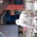 에디슨부동산공인중개사사무소 이미지