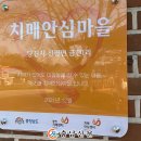 금천1리 이미지