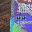 두 드림 | 포켓몬 카드 메가 드림 EX 두 박스 오픈 후기