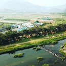 소야 솔밭 이미지