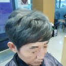 리젤헤어 이미지