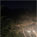 동산계곡야영장 네이버블로그