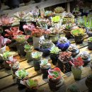 행복의 공간 이미지