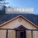라플란드 이미지