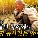 101세의 나이에 만평의 땅을 농사짓는 할아버지. 누구의 도움도 없이 아들과 단 둘이 관리한다!ㅣ아버지의 들녘 [인간극장] 이미지