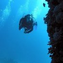 물속풍경 이미지