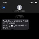 레드토마토 이미지