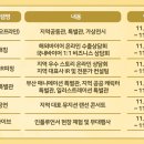 체리즐넛 이미지