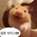 청두곶3길 11 | [w-03] 웨딩밴드 투어 | 흰주얼리, 하문주얼리 방문 후기