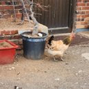 우일가스 이미지