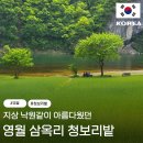 강물이 흐르는 곳 앞 간이화장실 | 영월 5월 가볼만한 곳 추천 | 지상 낙원 같이 아름다웠던 삼옥리 청보리밭 뚜벅이 후기