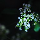 가을노을B 이미지