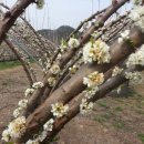 두원마을 이미지