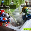 식탁위의텃밭 이미지