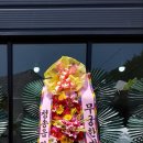 선광당안경원 Daum카페