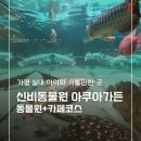 동물원에 여행가자 | 가평 아이와 가볼만한 곳 신비동물원 아쿠아가든카페 가족 나들이 추천 무료키카꿀팁