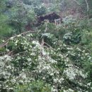 마이산청소년야영장 이미지