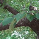 용강점 현대자동차 이미지