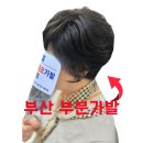부산 부분가발 후회 없는선택