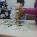 구미옥계동물병원 이미지