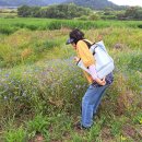 대구둘레길16구간(아양교다리-금호깅뚝방길-율하체육공원-안심교-습지-안심역 이미지