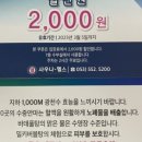 엘사우나 이미지