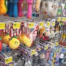 씨유펫송내점 이미지