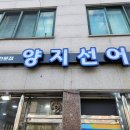 양지선어