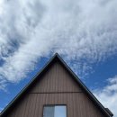 흘리커피 이미지