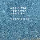 박유석「홍시」 Daum카페