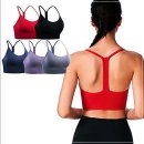 빽짐헬스 이미지