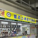 웰니스레포츠 이미지
