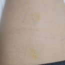 예봄S의원 이미지