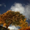 까사봉봉 이미지