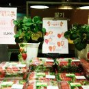 담양나드리 이미지