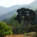 고요한 아침 이미지