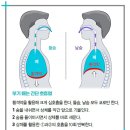 손발 자주 붓는 국소 부종 심호흡으로 정맥 흐름 개선! 이미지