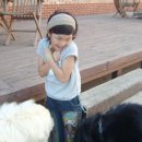 베르아델승마클럽 이미지