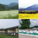 변산반도 우동리 우리밀체험장 이 있는 마을 소개입니다