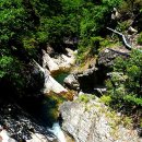 다리안민박 이미지