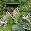 정이네뜰 이미지