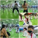 경희대태권쏭태권도장