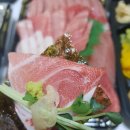 격렬한참치
