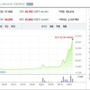 보란파마 이미지