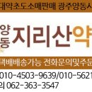 양동약초 이미지