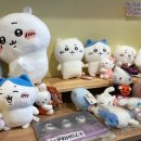요미토이 이미지