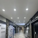 황금피부샾 | 여우스킨 내돈내산 후기