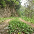 윤식농장 이미지